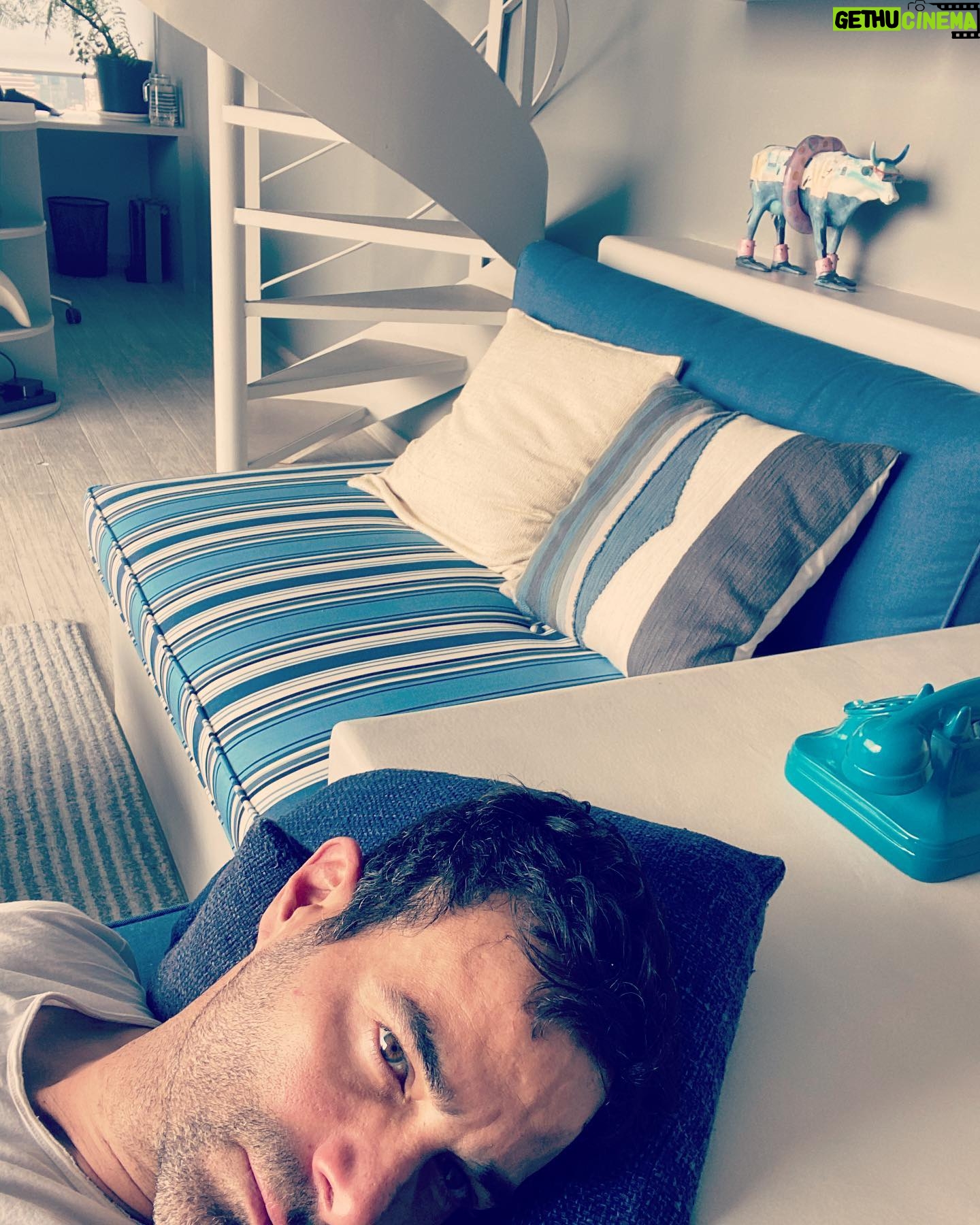 Luis Roberto Guzmán - 19.9K Likes - Esperando que la vaca me llame por teléfono. Ando en el lenguaje del muuuuuuuu!!!! Muchas sorpresas! #fuckcovid19 #vivir #actor #creative
