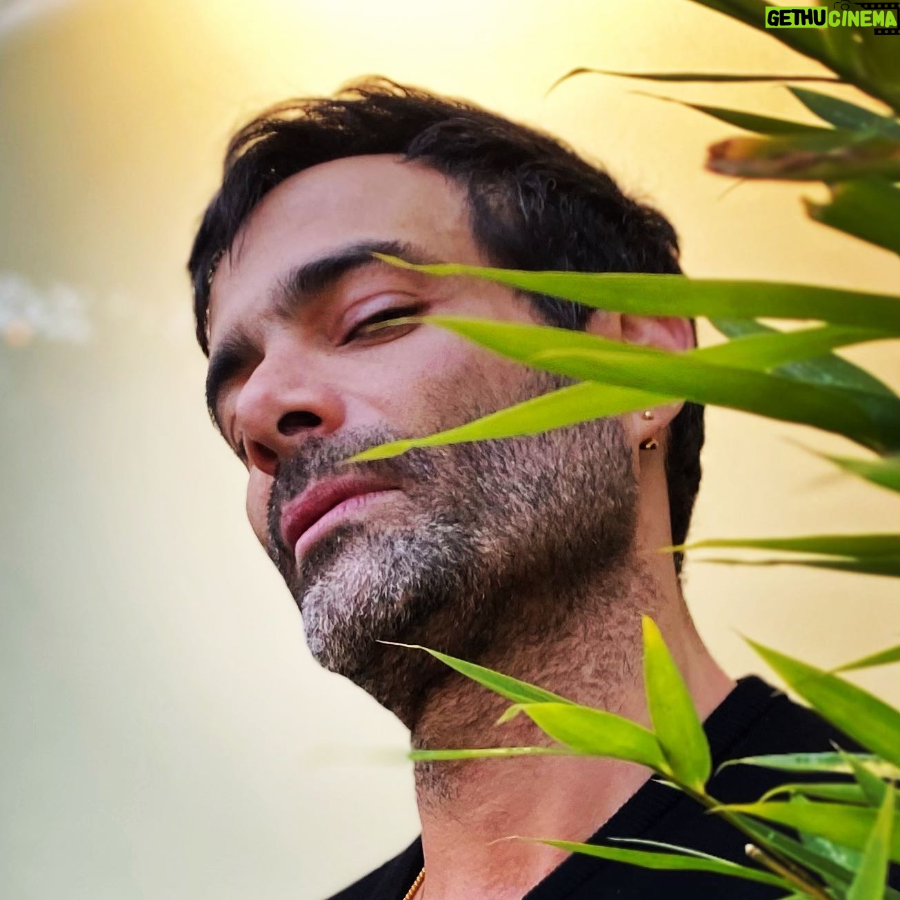 Luis Roberto Guzmán - 25.1K Likes - Entre la pajita y tú...no sé si me duermo o me despierto. En ambos estados sueño despierto viéndolos. Gracias @joebonillaoficial por el #thanskgiving Que buenos frappes, pavo, gravy, relleno. Deliciosos postres colombianos. Maravillosa plática entre risas. El 2021 nos espera como la chimichanga...paz! @juan.pablo.rincon @emmanuelorenday @sian_oficial @cinthiaparicio 📸 @sian_oficial