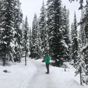 Luis Roberto Guzmán Instagram - #tbt Montañas Rocosas, Canadá. 2018. Una joya de la naturaleza.  #nofilter
