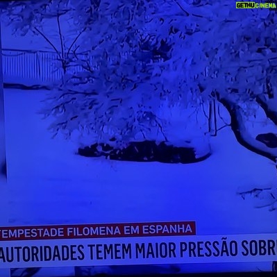 Luísa Cruz - 803 Likes - Que frio em Madrid! 🥶