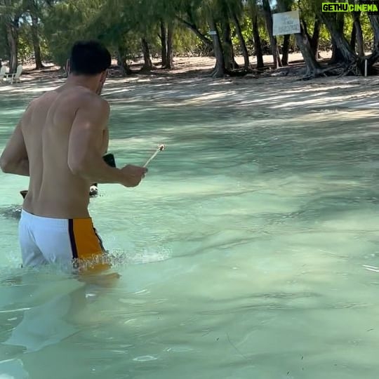 Lukas Gage - 172.7K Likes - itty bitty piggy island