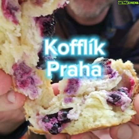 Lukáš Hejlík - 632 Likes - Náš tip na dost možná jeden z nejlepších koláčů v Praze vás zavede až do Strašnic do podchodu na cestě z metra do Gutovky. I tenhle strašnický streetfood najdete v naší aplikaci #gastromapalukaseheljika. Z těch třech příchutí nás nejvíc baví černorybízový. Ale jasně, černý rybíz je prostě naše nejoblíbenější ovoce.
@bistrokofflik
@praha_10
#nainspekcipocase