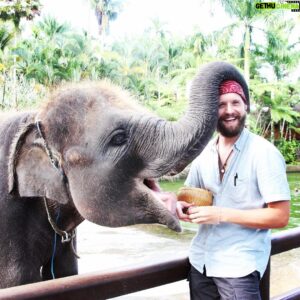 Luke Kleintank Instagram - Made a new friend in Ubud! #elephantsanctuary #bali #natgeo #travel #photography #babyelephant #indonesia