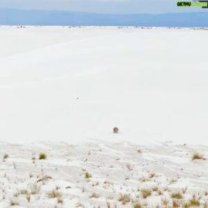 Luke Smallbone Instagram - Yesterday we had a day off and we got to visit, @whitesandsnps. An off day isn’t just for rest and sleep, but sometimes it’s more importantly about emotional and spiritual rest. 

I found that a coffee, breakfast , laughter, a hike, and getting to walk these beautiful white dunes was the sabbath I needed. 

Love this quote by John Mark Comer: 

“You can even rest to the glory of God. When you enjoy the world as God intended — with a cup of coffee, a nap in a hammock, a good meal, time with friends, it glorifies God — it calls attention to the Creator’s presence and beauty all around us. And when you do all that in a spirit of gratitude, letting the goodness of your world and life conjure up an awareness of God and a love for him, then rest becomes worship.”

Cheers to @kadintooley.mp4 for taking this pic 📸