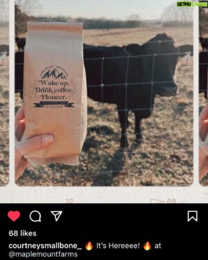 Luke Smallbone Instagram - It’s time for some more coffee! But to add to it all, we have some special sweaters and kids clothes to go with your freshly roasted coffee. It’s quite brilliant and love what it all goes towards!  Bravo sweetie! @courtneysmallbone_ Check it out!
Maplemountfarms.com