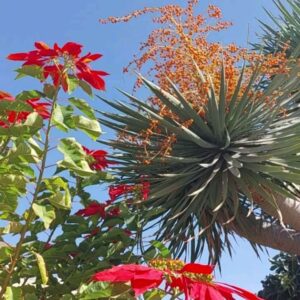 Luna Kuse Instagram - 2 seasons: summer and thinkingofsummer