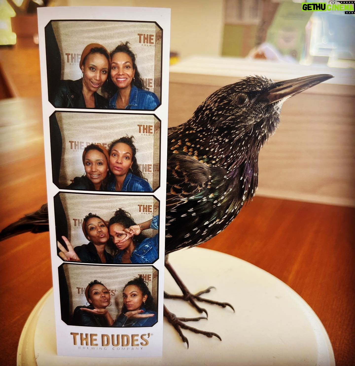 Lyndie Greenwood - 206 Likes - Look at this starling that @itsstaceyalexis taxidermied herself!! Thank you for the most bizarre and beautiful gift, my friend 🖤
#taxidermy #junebabies #yourturnsoon