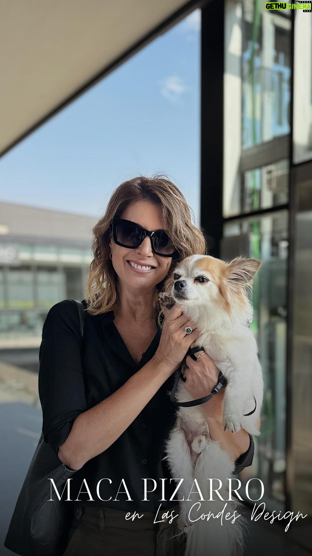 Macarena Pizarro - 1.1K Likes - ¡El otro día recibimos una maravillosa visita!
@macapizarrotv y su perrito visitaron Las Condes Design y eligieron sus 3 imperdibles para el hogar 🏡🐾🐾
¡Acompáñalos en su recorrido!
- Sillones (@area.design )
- Iluminación (@tienda_insular )
- Cuadros (@galeria_artemarco )
¡Te esperamos en av. Las Condes 9765 junto a tu mejor amigo!
#petfriendly #lascondesdesign #decoracion #interiorismo