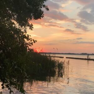 Mace Coronel Instagram - Vorige zomer