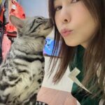 Macy Chan