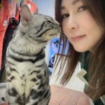 Macy Chan