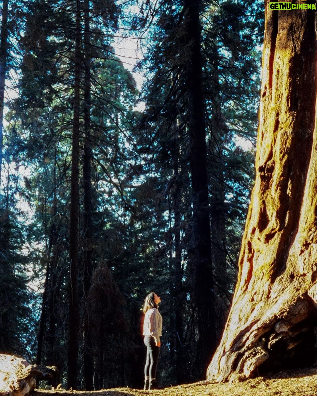 Madalyn Horcher - 695 Likes - “Alexa, play the Twilight soundtrack”
Shot by: @isaac_be11
Edited by: @elijah.bell3