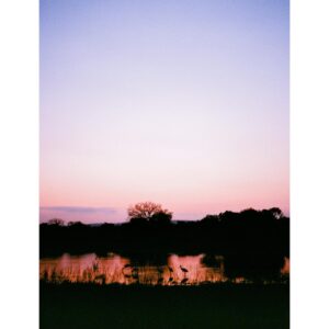 Madelyn Deutch Instagram - one of this year's undisputed highs was spending time at @andbeyondtravel @andbeyondtengile and celebrating my dad's birthday in south africa. thank you to all the animals (and humans) that shared their jeeps, rivers, and homes with us. this world is a wonder.  #35mm #120