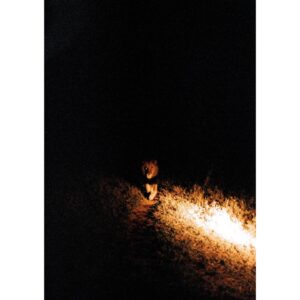 Madelyn Deutch Instagram - one of this year's undisputed highs was spending time at @andbeyondtravel @andbeyondtengile and celebrating my dad's birthday in south africa. thank you to all the animals (and humans) that shared their jeeps, rivers, and homes with us. this world is a wonder.  #35mm #120