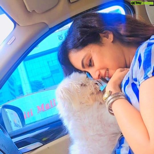 Madirakshi Mundle - 9.7K Likes - The road to my heart is filled with paw prints 🐾 🐾 🐾
@krosspaaws_india
#sukoon
#metime❤️ in car
#haseena
#pepsi
#puppy
#puppylove