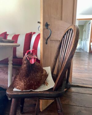 Madison Thompson Instagram - chicken mom loading...