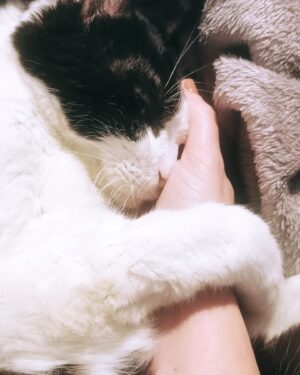 Magalie Vaé Instagram - ❤️😽