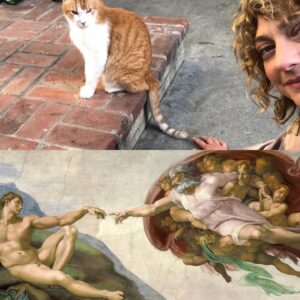 Mageina Tovah Instagram - .
.
.
#art #cat #catsofinstagram