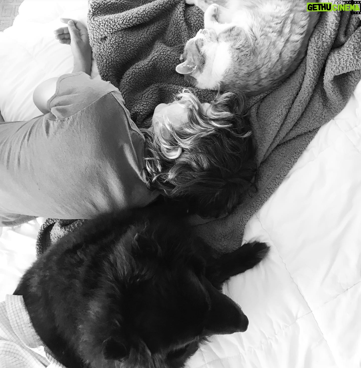 Mageina Tovah - 377 Likes - Meeting of the minds
.
.
.
#dogsofinstagram #catsofinstagram #puppy #kitten