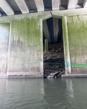 Mageina Tovah Instagram - On the River
.
.
.
#tbt #river #kayak #bridge #nature #photography