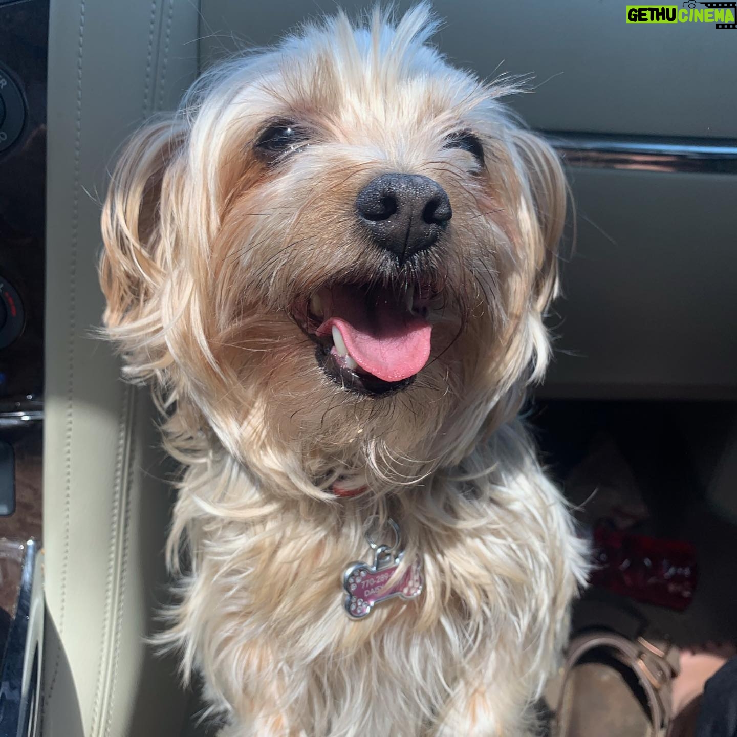 Maggie Elizabeth Jones - 4.1K Likes - Daisy Bell, Thank you for always being there to bring our family Joy and laughter. Thank you for all the cuddles and walks around the block. We love you so much and miss you! Rest In Peace Sweet Girl❤️🕊