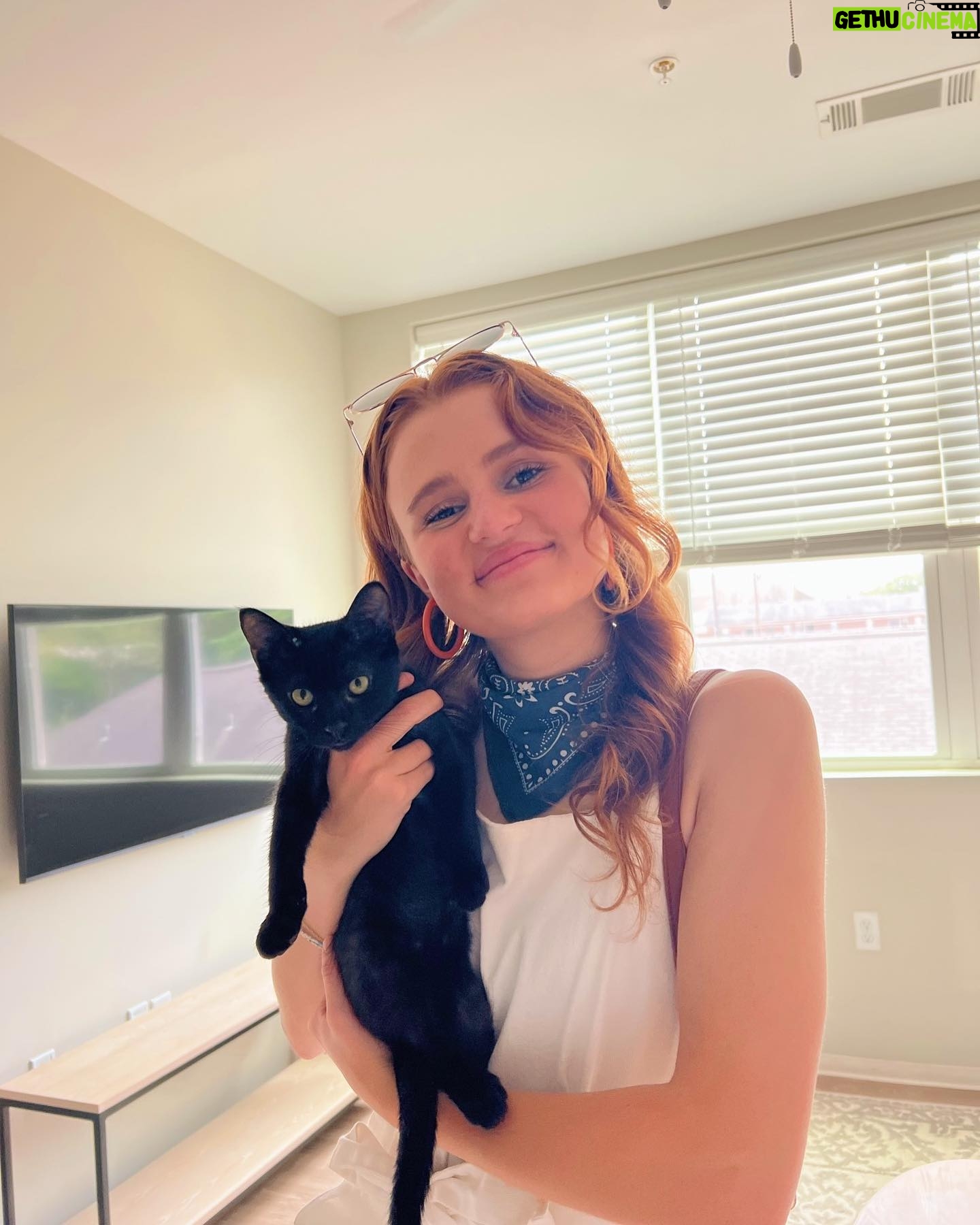 Maggie Elizabeth Jones - 1.9K Likes - War Eagle 🦅