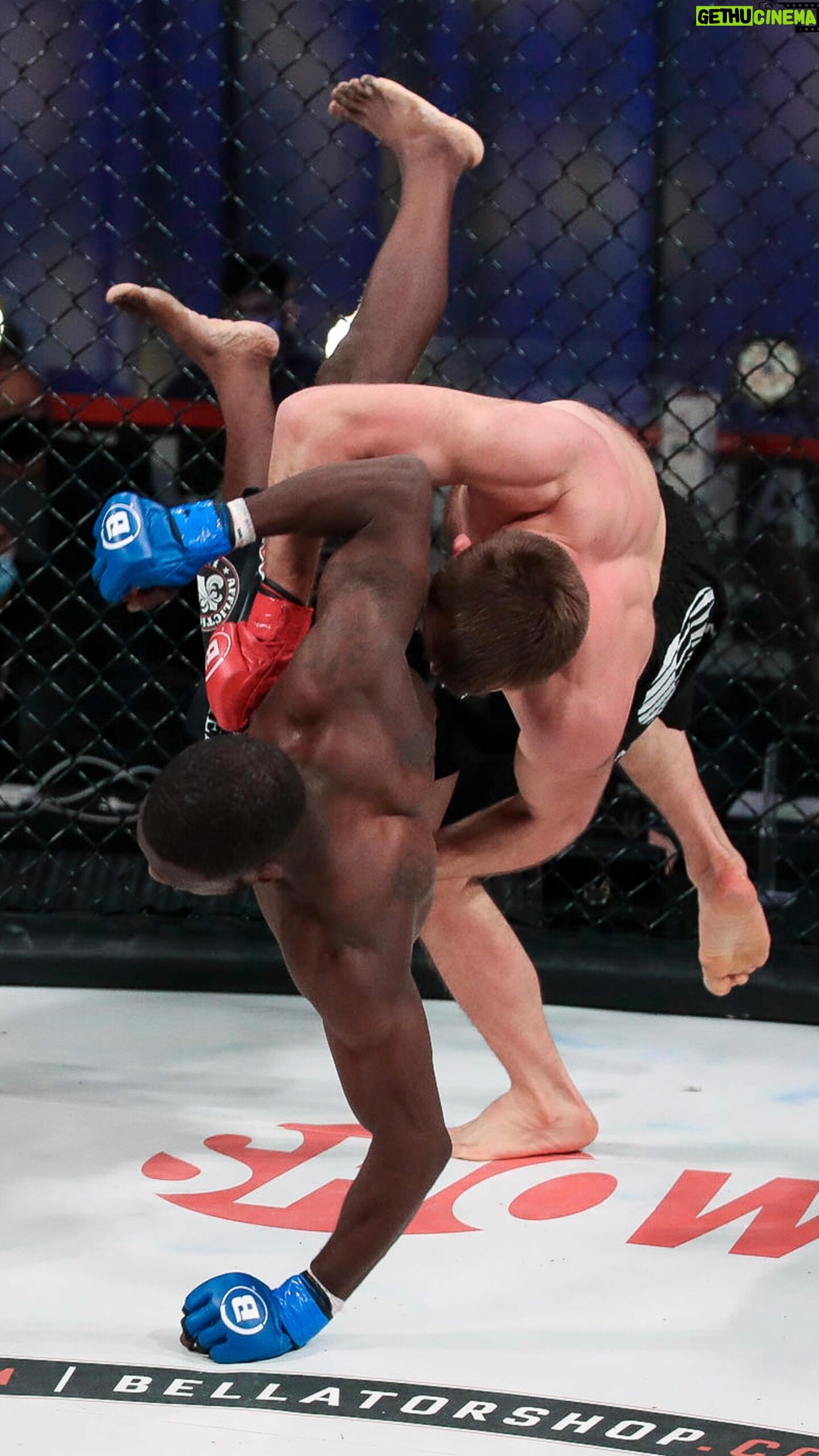 Magomed Magomedov - 3.2K Likes - Who remembers this 𝒆𝒑𝒊𝒄 @Magomedov_Tiger win? 👀
Don’t miss the semi-finals of the #BellatorBWGP!
👊 #Bellator289 | 🗓 Friday, December 9th | 🏟 @MoheganSun