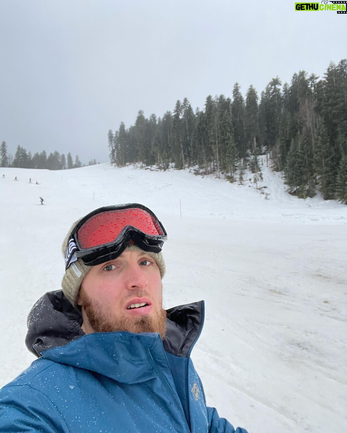 Magomed Magomedov - 5.4K Likes - И эти джунгли теперь наши 😀⛷ 🌳