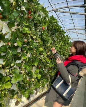 Mai Takeuchi Instagram - ...

いちごがり🍓♡
わんちゃんと行けるの嬉しい♡

リル眩しくて、全部目が開いてないの飼い主に似てる🤔

.
.
.

#instagood #instafashion #selfie #tbt #f4f #swag #fashion #fashionista #gravure #linogravure #被写体 #撮影 #東京 #tokyo #Japan #party #自拍 #japanesegirl #anime #cosplay
#animesong#petstagram #dogstagram #doglover #instadog #maltipoolove #cafe
@b_b_j.j @bijo_photo @_bijo.gram_