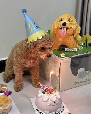 Mai Vũ Luân Instagram - Happy birthday my son 🎂 11-4 @laccuabalu