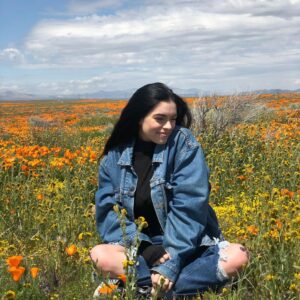 Maitlyn Pezzo Instagram - “Poppies, poppies” ~ The Wicked Witch of the West 🌼