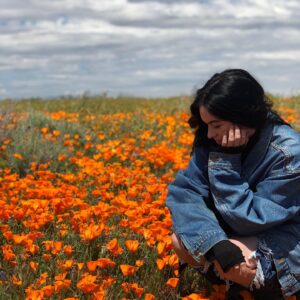 Maitlyn Pezzo Instagram - “Poppies, poppies” ~ The Wicked Witch of the West 🌼