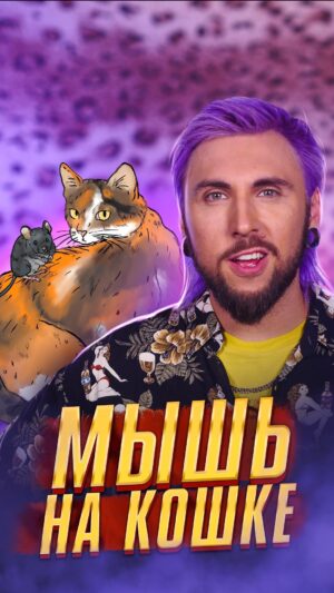 Maksim Golopolosov Instagram - МЫШЬ НА КОШКЕ 🐁🐈 #мышь #кошка #сидит #спина #100500 #обзор #видео #cat #mouse