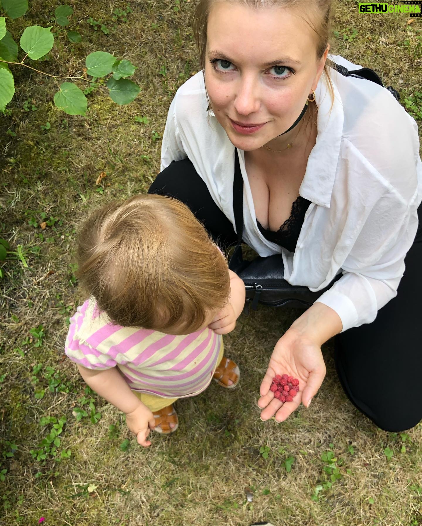 Malvína Pachlová - 640 Likes - Láska… jestli něco miluje Enola nejvíc jsou maliny a jahody v jakékoli podobě… chápu… a pro nás není větší radosti než ji vidět šťastnou, jak se láduje dobrotama ze zahrady. I když to praní potom… hádejte, jak dopadla moje košile… jo a zabírá na to něco? 😂#love #rasberries #straberries #enola #happykid #❤️