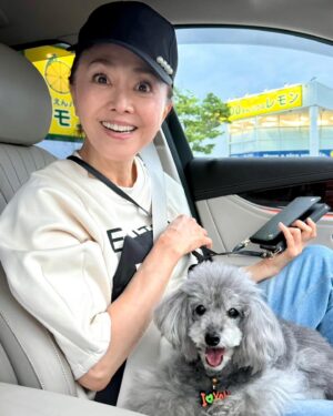 Mami Kumagai Instagram - １枚目の写真はまみちゃんのいない時、
帰ってきた時。

表情あるなぁ。

私も。笑

#熊谷真実
#ももたんとの生活
#わんこのいる生活 
#二日いないとさびしい
#トイプードル
#グレイトイプードル