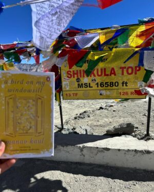Manav Kaul Instagram - A BIRD ON MY WINDOW SILL …. 

Ab mere saath udd rahi hai 🦋😊
Hope you will get your copy soon😊
It’s also available in US, UK, Canada and other countries ♥️
#shinkulatop #zanskar #lahaul #solotravel #abirdonmywindowsill