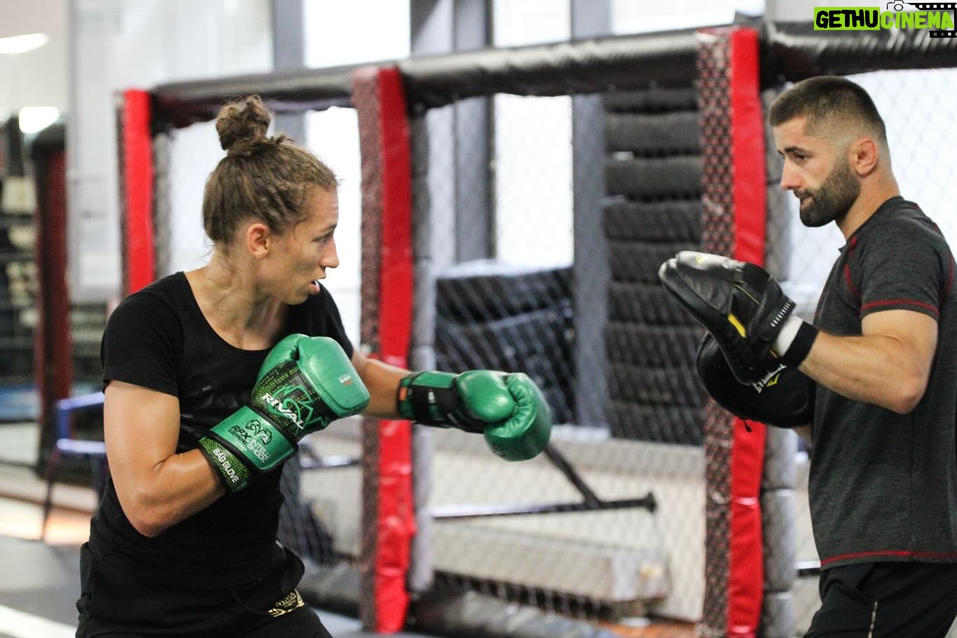 Mandy Böhm - 333 Likes - 🥷👊🏼 Teaching me how to Knock People Out 🥊
January 20 can’t come soon enough ‼️☠️
Get your Tickets 🎫 for Munich @gymyilmaz
Swipe nach rechts für meine vollkommene Schönheit 😄🥹
2024 NOTHING CHANGED WE ONLY GET BETTER
#BOXING #BOXEN #FIGHTNIGHT #PROBOXING #MONSTER #BOOMBOOMBÖHM