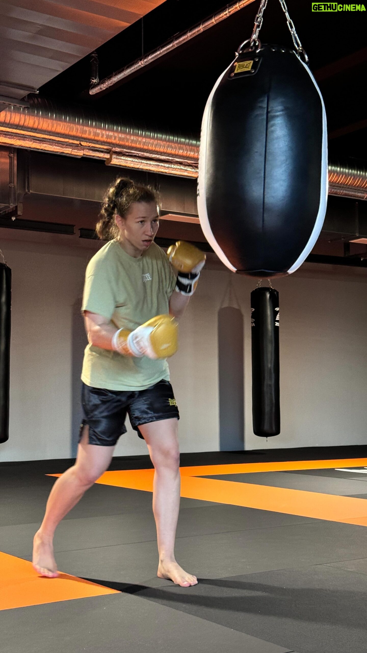 Mandy Böhm - 1.5K Likes - Daily Grind !
🥊📅📍 31.05 Oberhausen
4-0-0
#Boxen #Boxing #MonsterAcademy