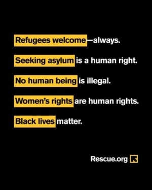 Mandy Patinkin Instagram - Repost from @rescueorg
•
Checking in with some mid-year reminders ✊