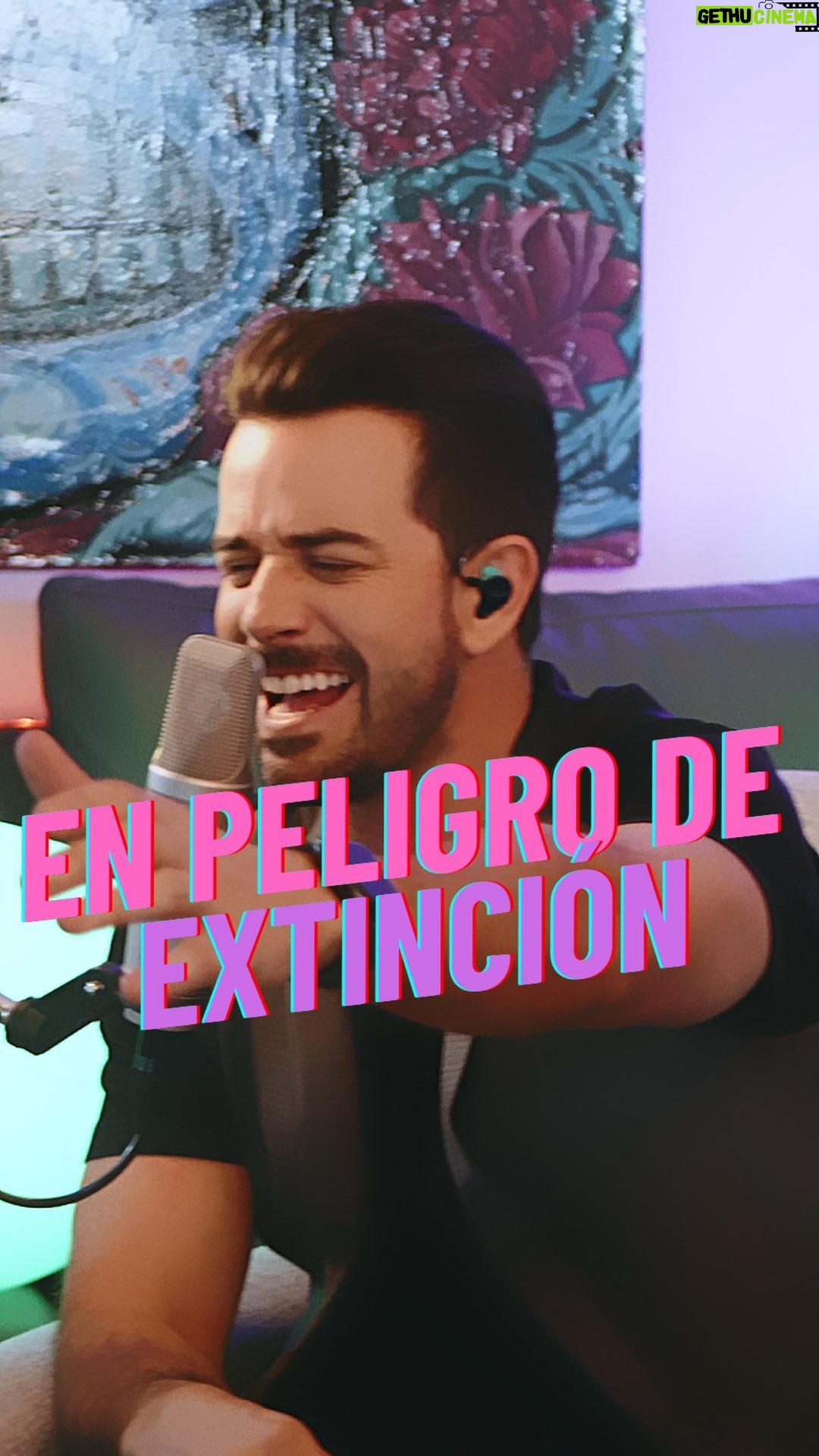 Mané de la Parra - 2K Likes - Peligro de extinción ⛔️ ⚠️ un Rolón !! Que grabamos en mi disco #desdecasa volumen 2! Si te gustan estas versiones acústicas agrégalas a tus playlist en @spotifymexico @applemusic @youtubemusic @amazonmusicmx y sigueme ! Te espero el día 9 de dic en mi concierto a la luz de las velas #candlelight en @elcantoral @candlelight.concerts