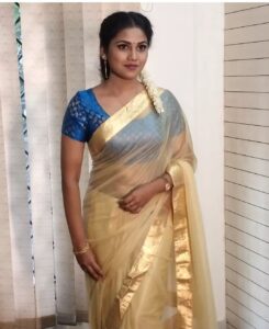 Manisha Jith Top 100 Instagram Photos and Posts