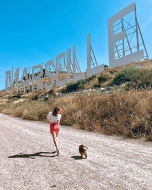 Manon Schraen Instagram - Petite promenade avec Oscar 🤍

Vous aussi vous avez des animaux de compagnie ? 🐾

#instamoment#instapic#pictureoftheday#marseille#pomeranian#spitz#spitznain#louloudepomeranie#pet#marseille#holidays#summer#summerstyle#goodvibes#instashoot#summervibes#comedienne#actrice