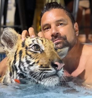Manu Bennett Instagram - Tiger Bath! Thanks @realsultankhoory #thedubaifarm is an amazing place!!!