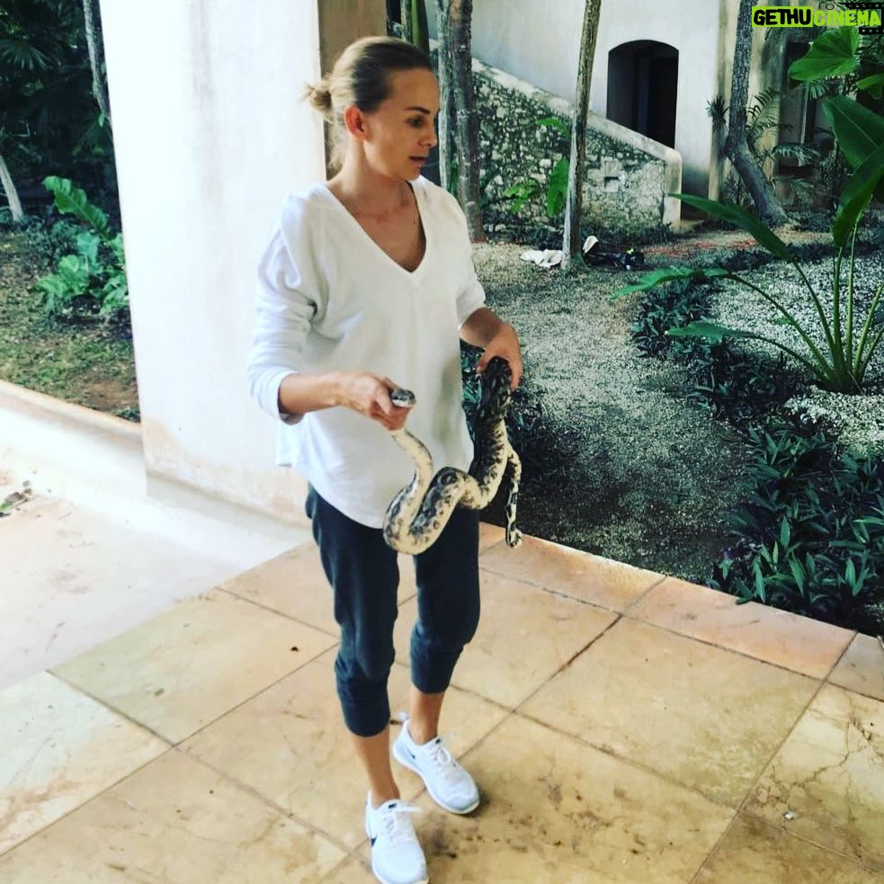 Manuela Ímaz - 584 Likes - #tbt Hace un año me encontré a esta amiga Boa deambulando en el jardín 👀🐍. No se preocupen, perro no come perro 🤣🤣🤣🤣.