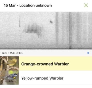 Marc Evan Jackson Instagram - I know neither is yellow-crested, but still…
“Look, Raymond….”
