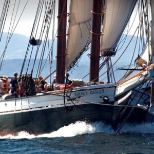 Marc Evan Jackson Instagram - Want to come on vacation with me...? (You do.)
Some captain friends & I partnered to purchase the 1882 schooner Grace Bailey in Rockland, Maine.
We do 3-, 4-, & 6-day overnight trips.
I'll be aboard June 10-14, July 9-15, & 
Sept 17-21 & 22-25.
Learn more:
SailGraceBailey.com