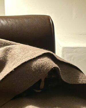 Marc Evan Jackson Instagram - My cat Penny is a Jedi.