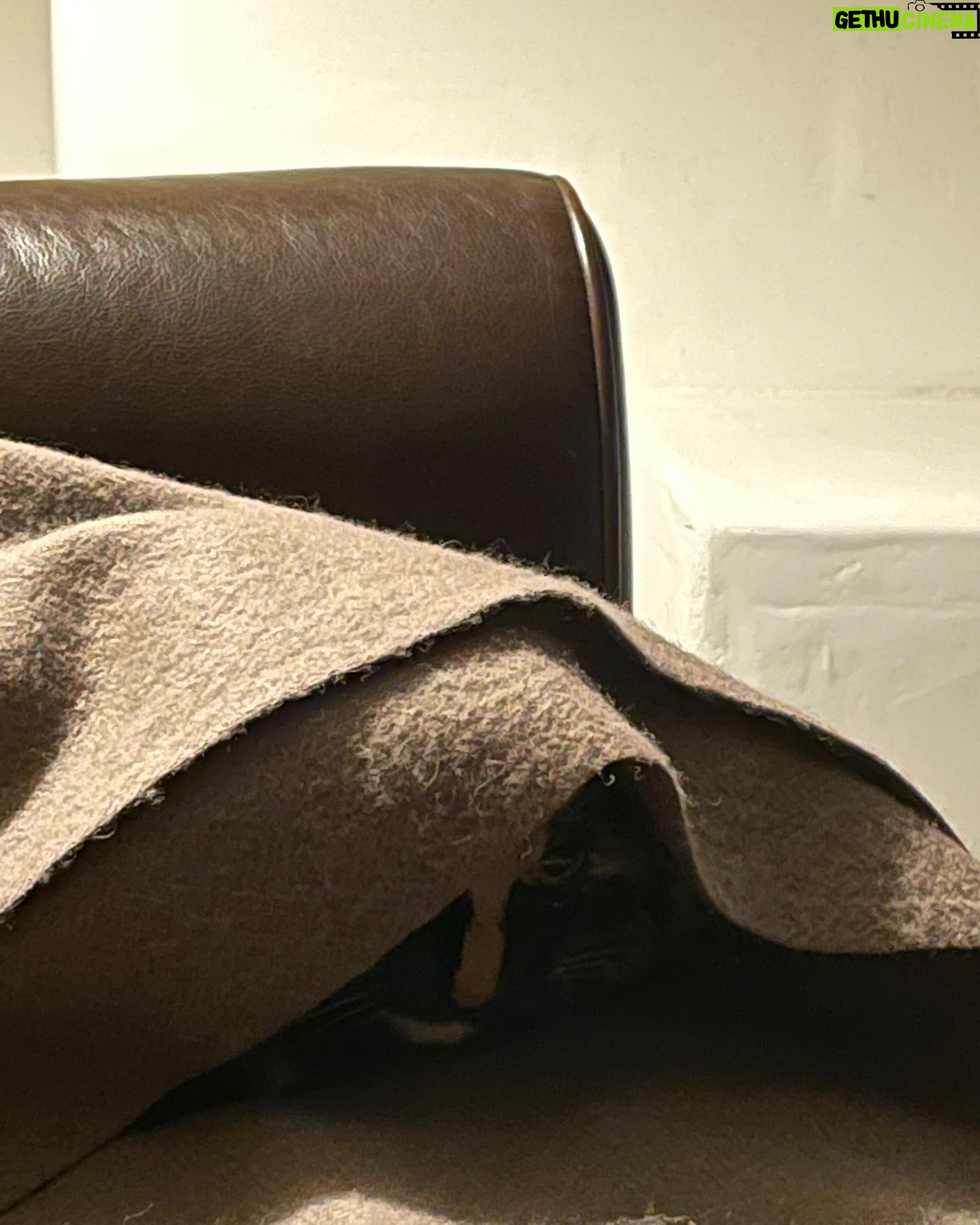 Marc Evan Jackson - 2.8K Likes - My cat Penny is a Jedi.