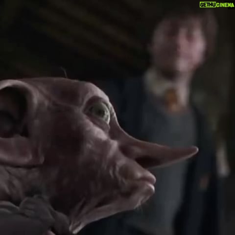 Marcela Citterio - 3 Likes - Iniciando el 2024 con magia y esperanza. 🌟 Con Dobby a mi lado, siento que todo es posible. El ha llegado a mi mundo gracias a las manos mágicas de Osvaldo. Este podría ser nuestro año para liberarnos, como lo hizo él, de todo lo que nos detiene.
Estamos listos para escribir nuestra propia historia . Estás conmigo en esta aventura?
#DobbyIsFree #NuevosComienzos