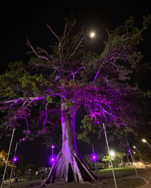 Marcelo Bonfá Instagram - Galera!
O que foi que vocês puseram no meu  açaí??A onda bateu leeegaal!
Que show lindo que eu vi!!
Eu sei porque eu gosto de Belem..porque vocês são um povo muito acolhedor ,alegre ,e tem muito amor na terra de vocês.
Lov u all 💚🔥🥁🌴🌳
@dadoebonfatour